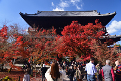 221127a南禅寺18