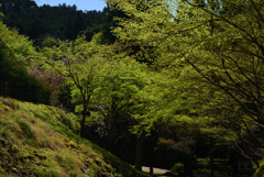 210407b大原21