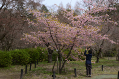 220325b京都植物園34