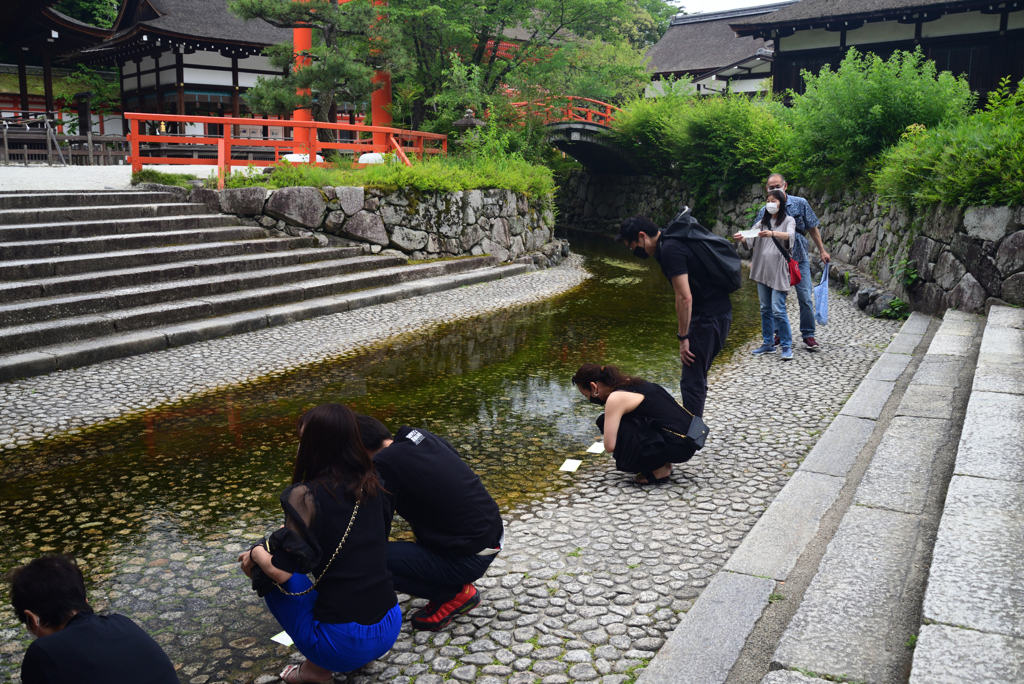 220605b下鴨神社10