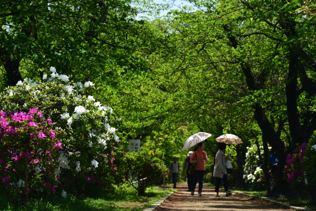 180419b長岡天満宮03