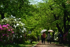 180419b長岡天満宮03