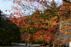 231102b神護寺67