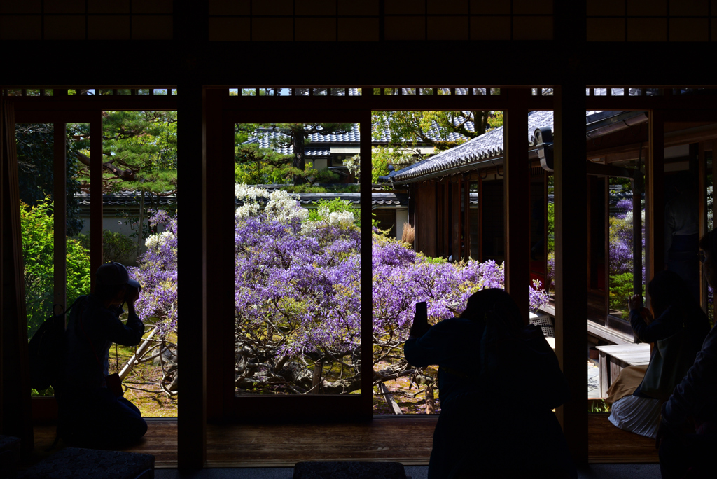 230409b妙心寺長慶院41