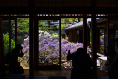 230409b妙心寺長慶院41