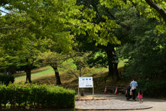 230811馬見丘陵公園28