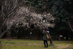 230214京都植物園54