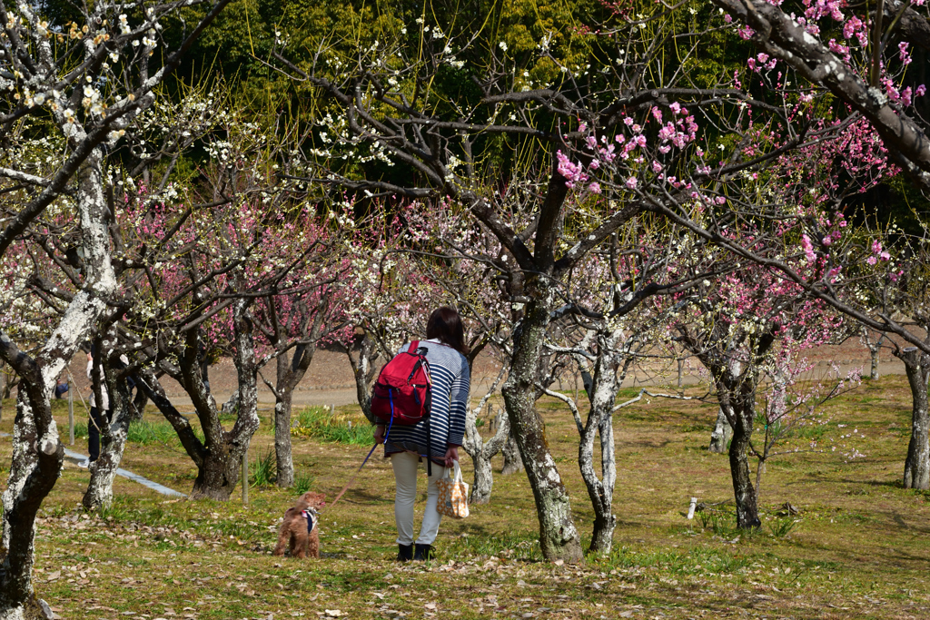 220305a山田池公園28
