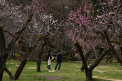 220325b京都植物園38