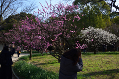 210220万博公園72