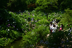 220619長居植物園08