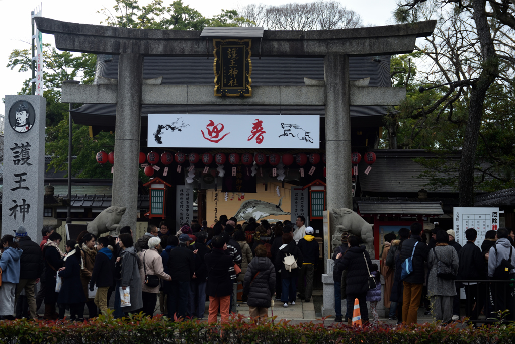 190101c護王神社14