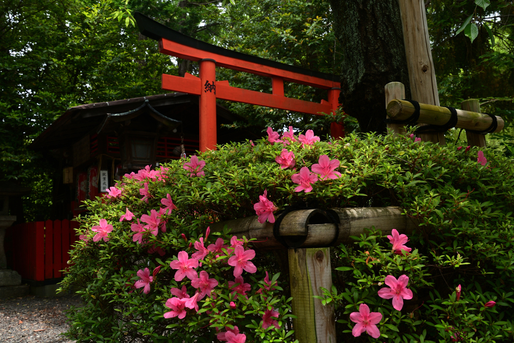 230525e水火天満宮30