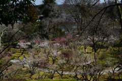 230315石山寺53