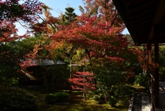 181125a妙心寺大法院22
