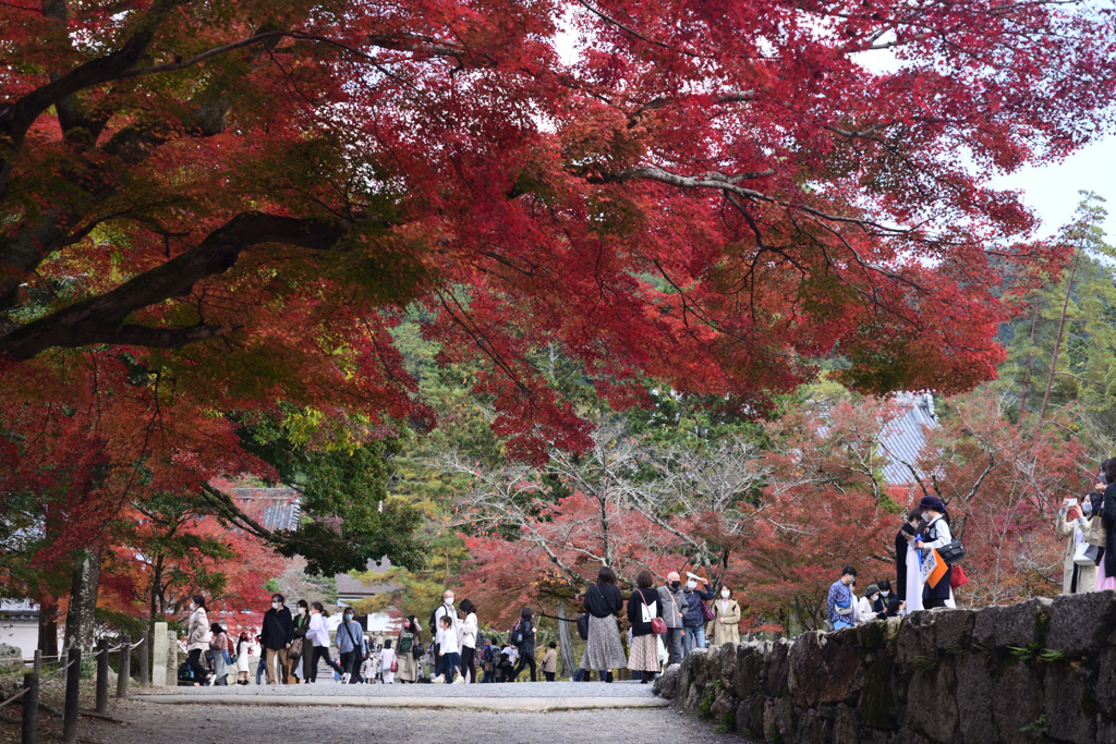 211120d南禅寺20