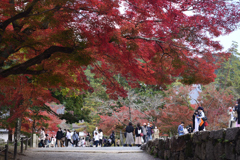 211120d南禅寺20