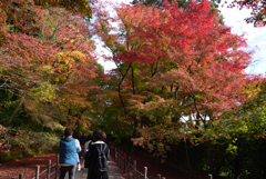 201129a光明寺31
