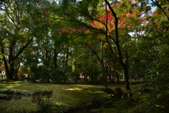 191116a上賀茂神社20