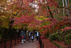 201129a光明寺47