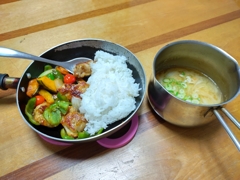 250817酢豚風