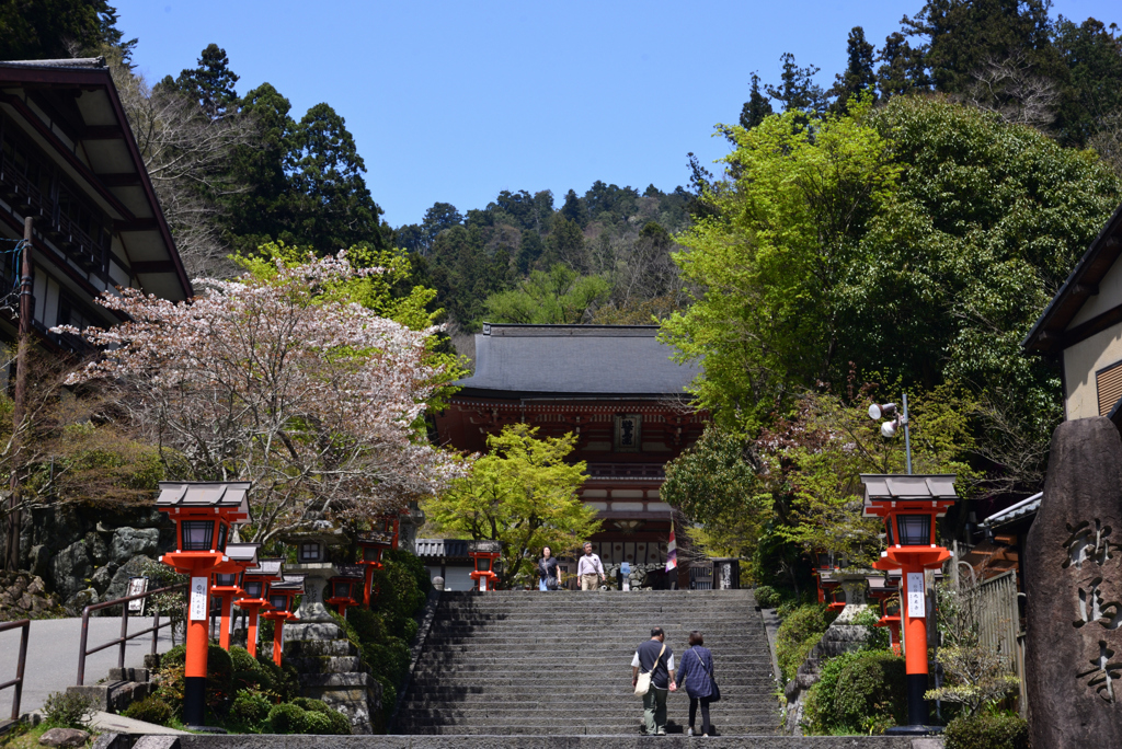 240414c鞍馬寺02