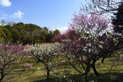 190212山田池公園29