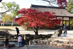 181127d上賀茂神社41