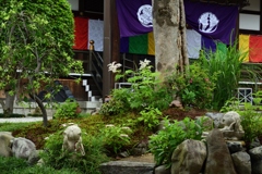 180529c称名寺82+