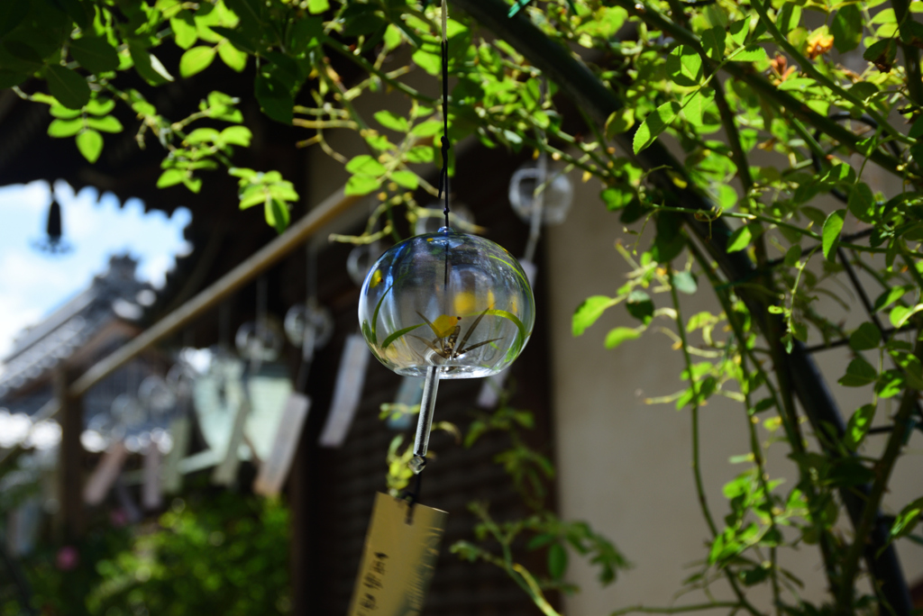 200718cおふさ観音08