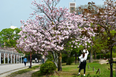 250418c梅小路公園07