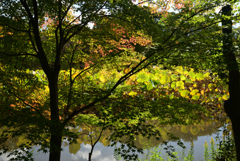 221015京都植物園56