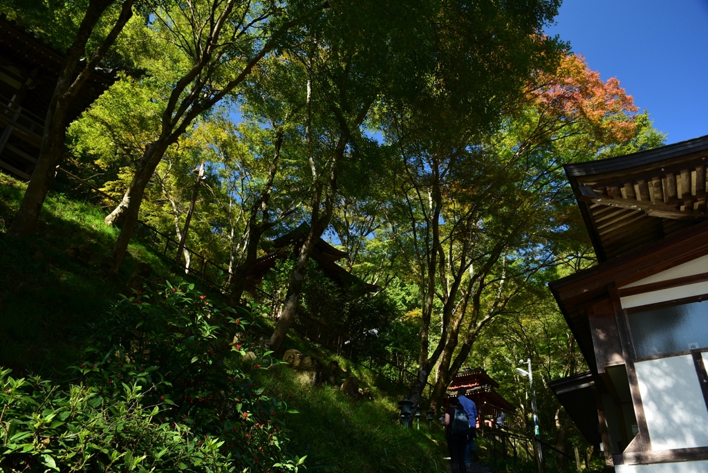 171027b愛宕念仏寺07