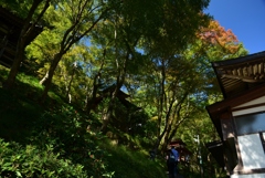 171027b愛宕念仏寺07