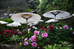 190427b當麻寺西南院44