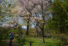 230404b京都植物園44