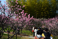 190302a万博公園11