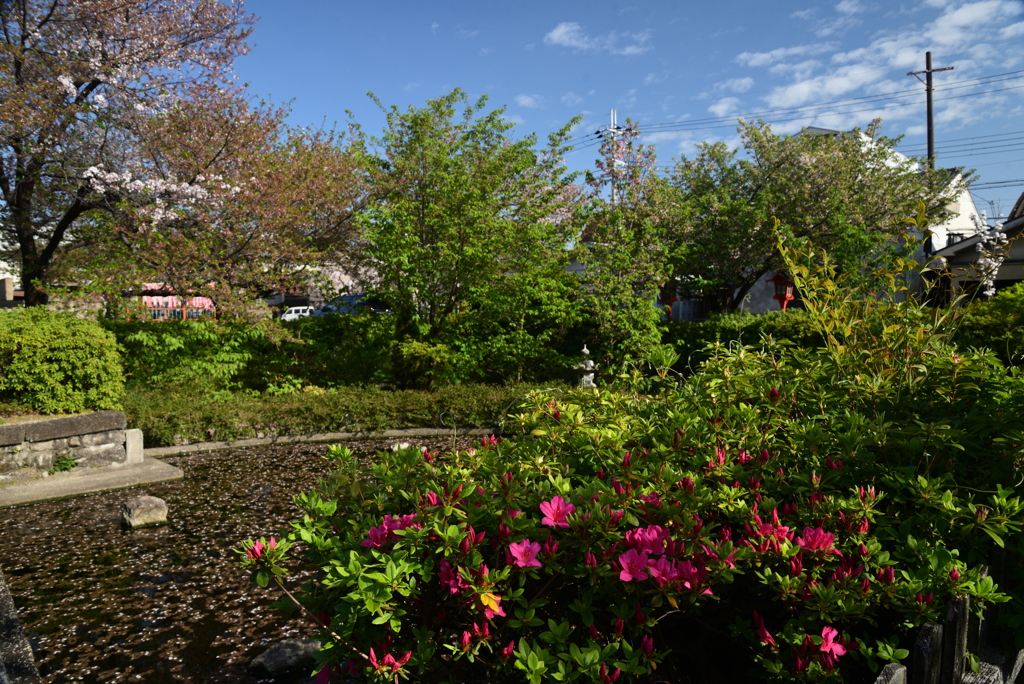 220412h六孫王神社38