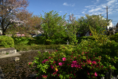 220412h六孫王神社38