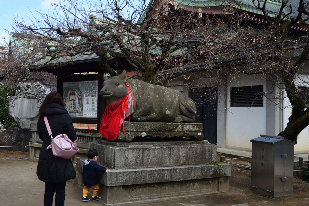 200122b北野天満宮07