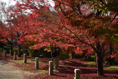 201122c智積院38