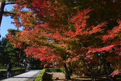 221118a相国寺09
