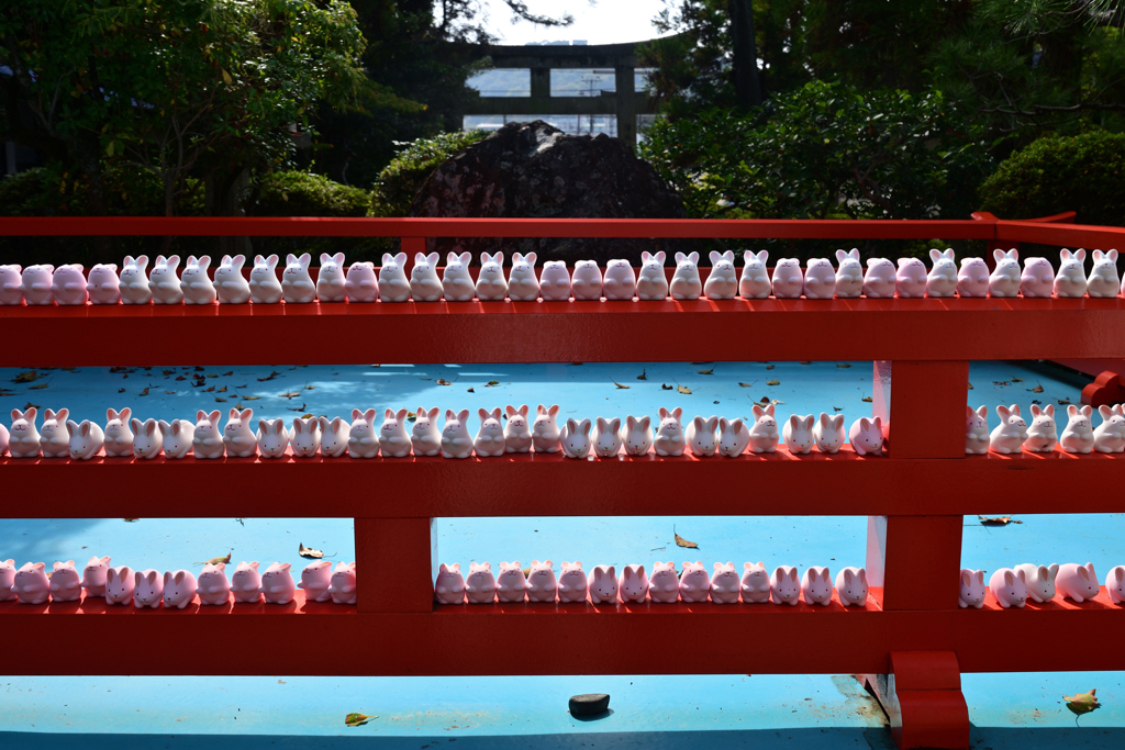 231109c岡崎神社18