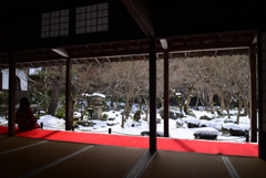 230129b圓光寺10