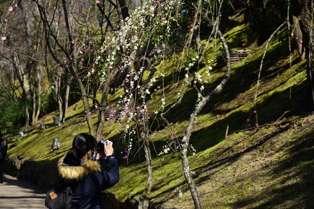 190223a北野天満宮50