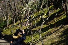 190223a北野天満宮50