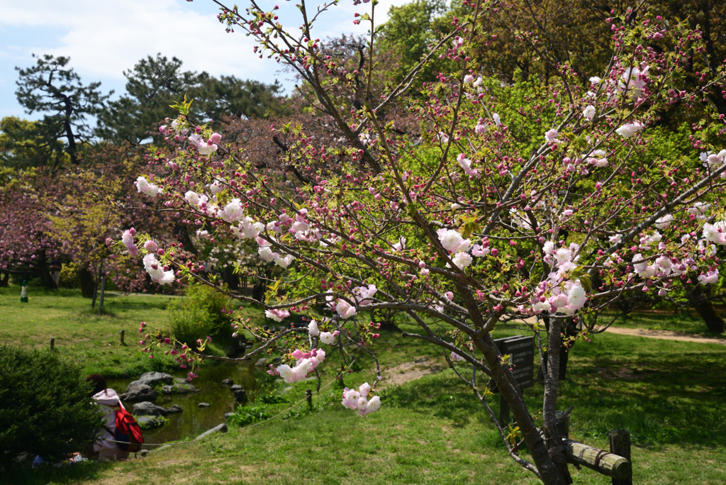 220412a京都御苑26