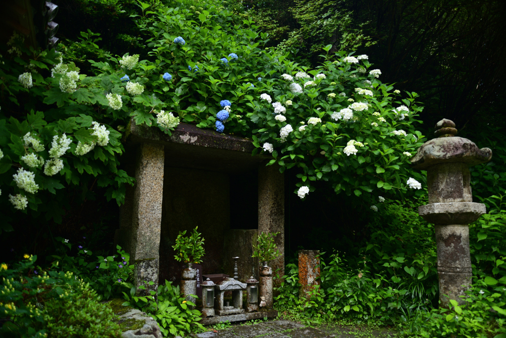 220612a岩船寺09