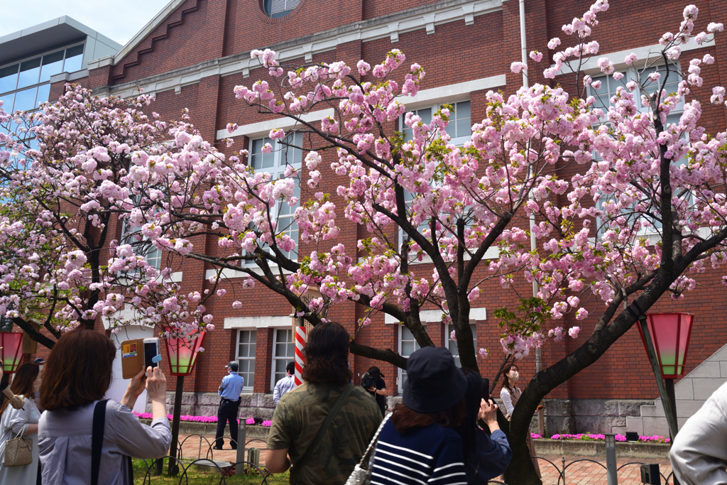 220413a造幣局38福禄寿