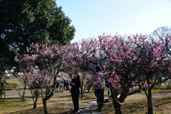 260301d梅小路公園31